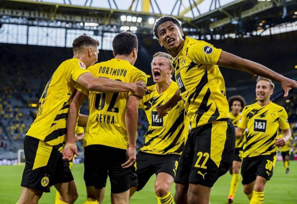 的中坚力量 的中坚力量